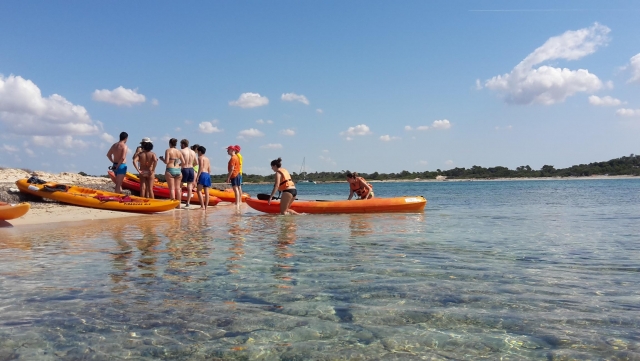 Alquileres en Mallorca